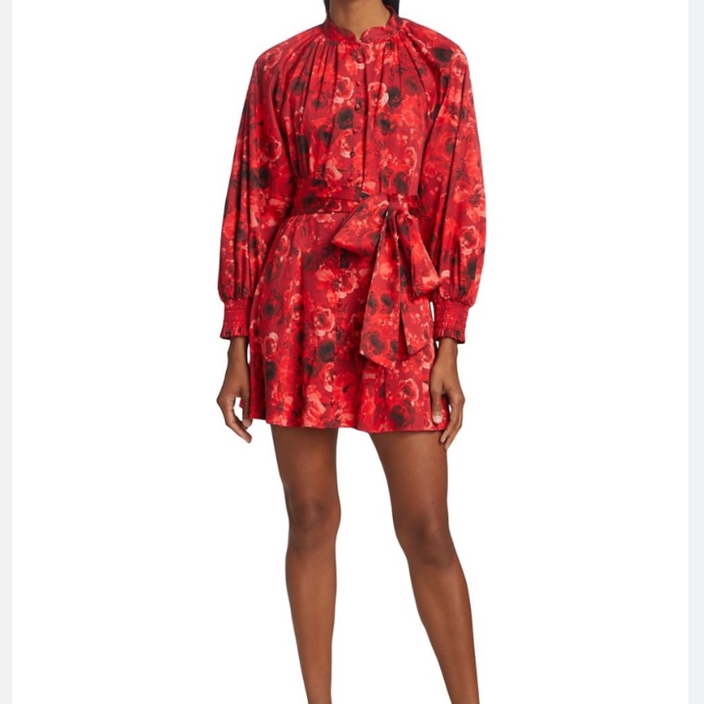 Alice and Olivia mini dress
